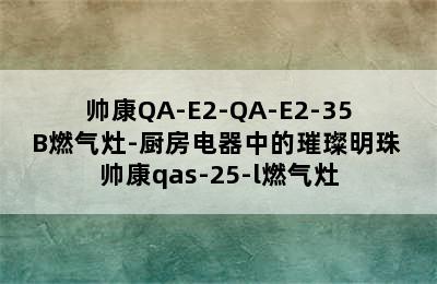 帅康QA-E2-QA-E2-35B燃气灶-厨房电器中的璀璨明珠 帅康qas-25-l燃气灶